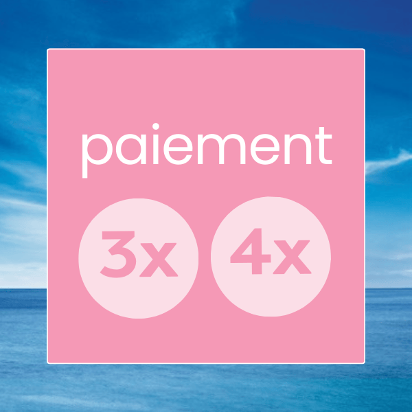 picto paiement 3x 4x